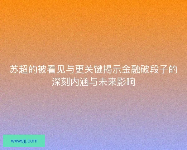 苏超的被看见与更关键揭示金融破段子的深刻内涵与未来影响