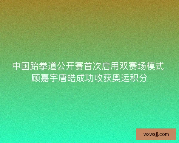 中国跆拳道公开赛首次启用双赛场模式 顾嘉宇唐皓成功收获奥运积分