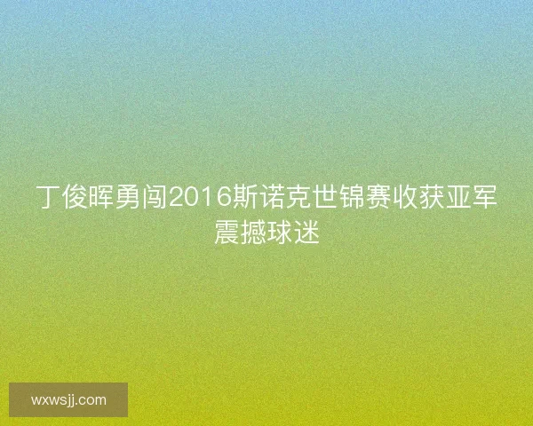 丁俊晖勇闯2016斯诺克世锦赛收获亚军震撼球迷