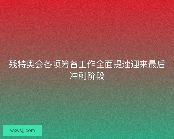 残特奥会各项筹备工作全面提速迎来最后冲刺阶段