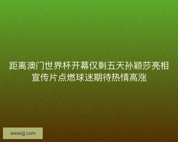 距离澳门世界杯开幕仅剩五天孙颖莎亮相宣传片点燃球迷期待热情高涨